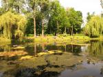 Wejd¼ IMG_2781.JPG