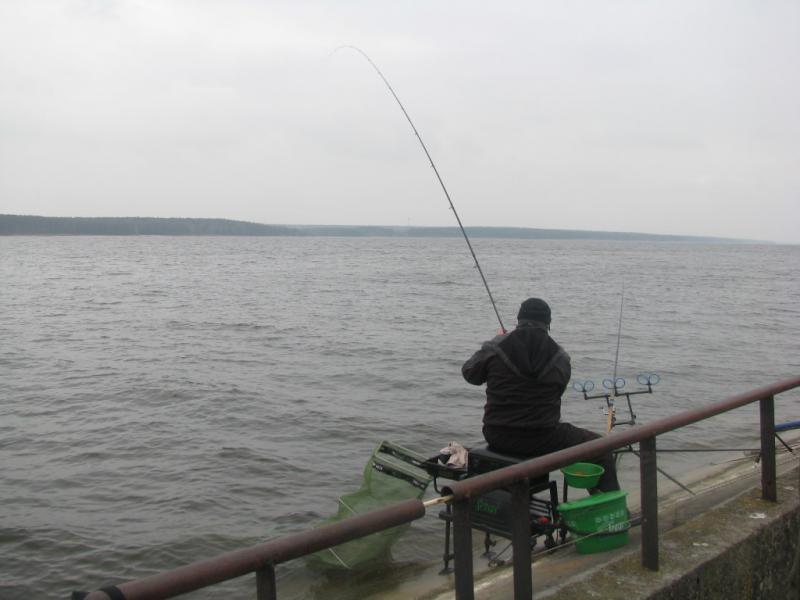 img_0037.jpg