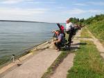 Kliknij by wej¶æ img_4926_t1.jpg